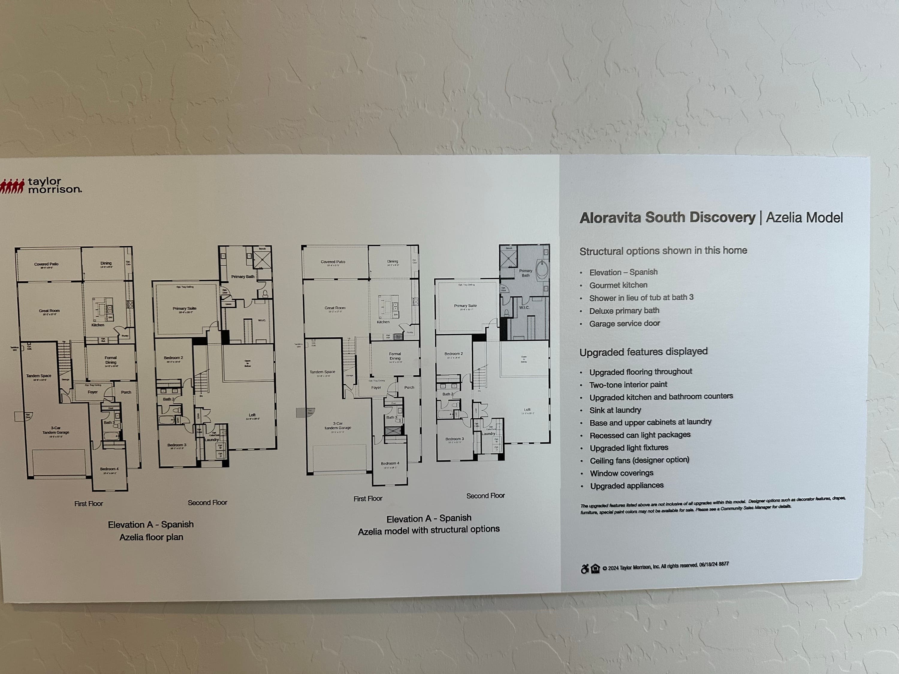 Azelia by Taylor Morrison at Aloravita South