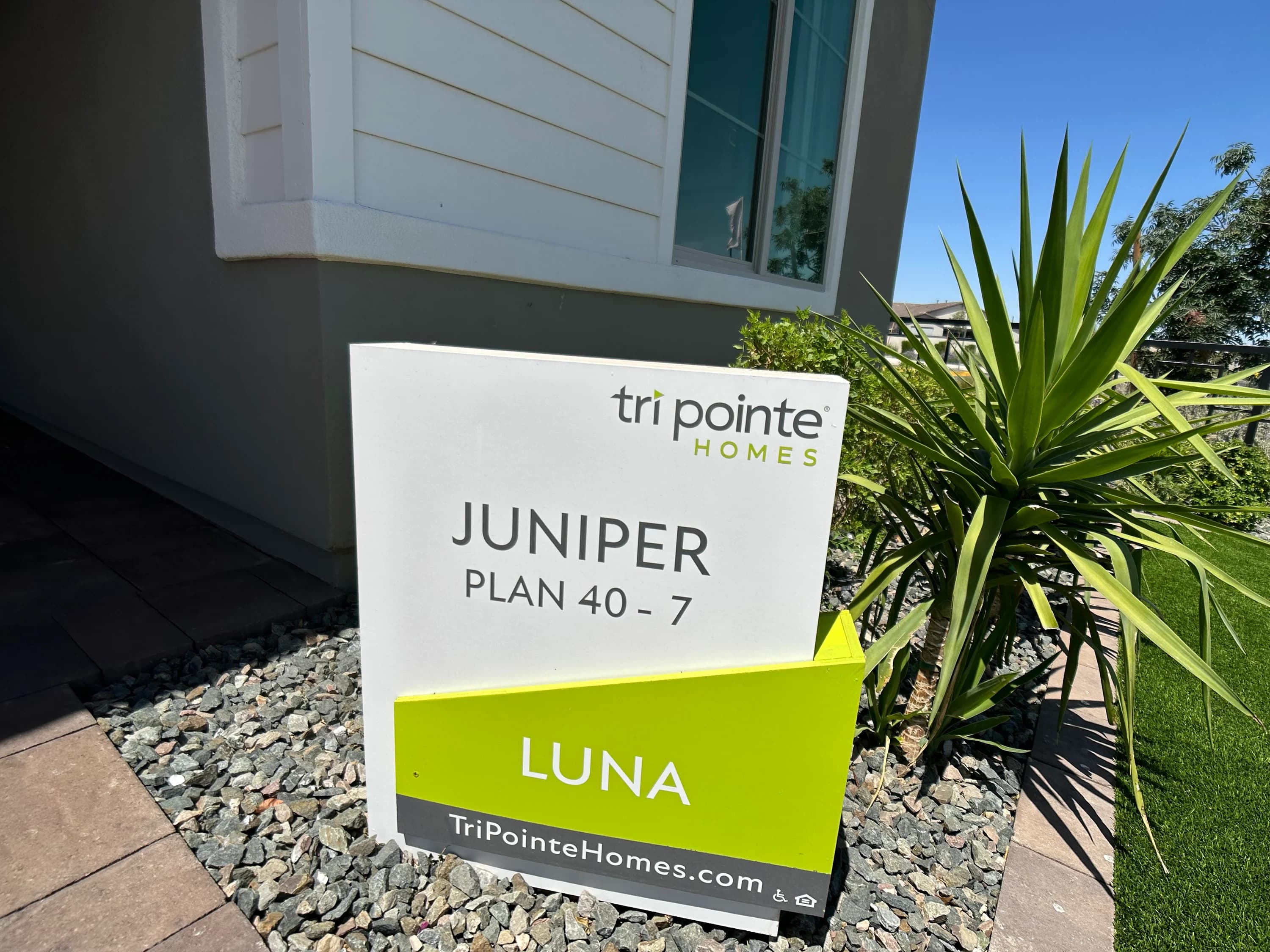 Juniper