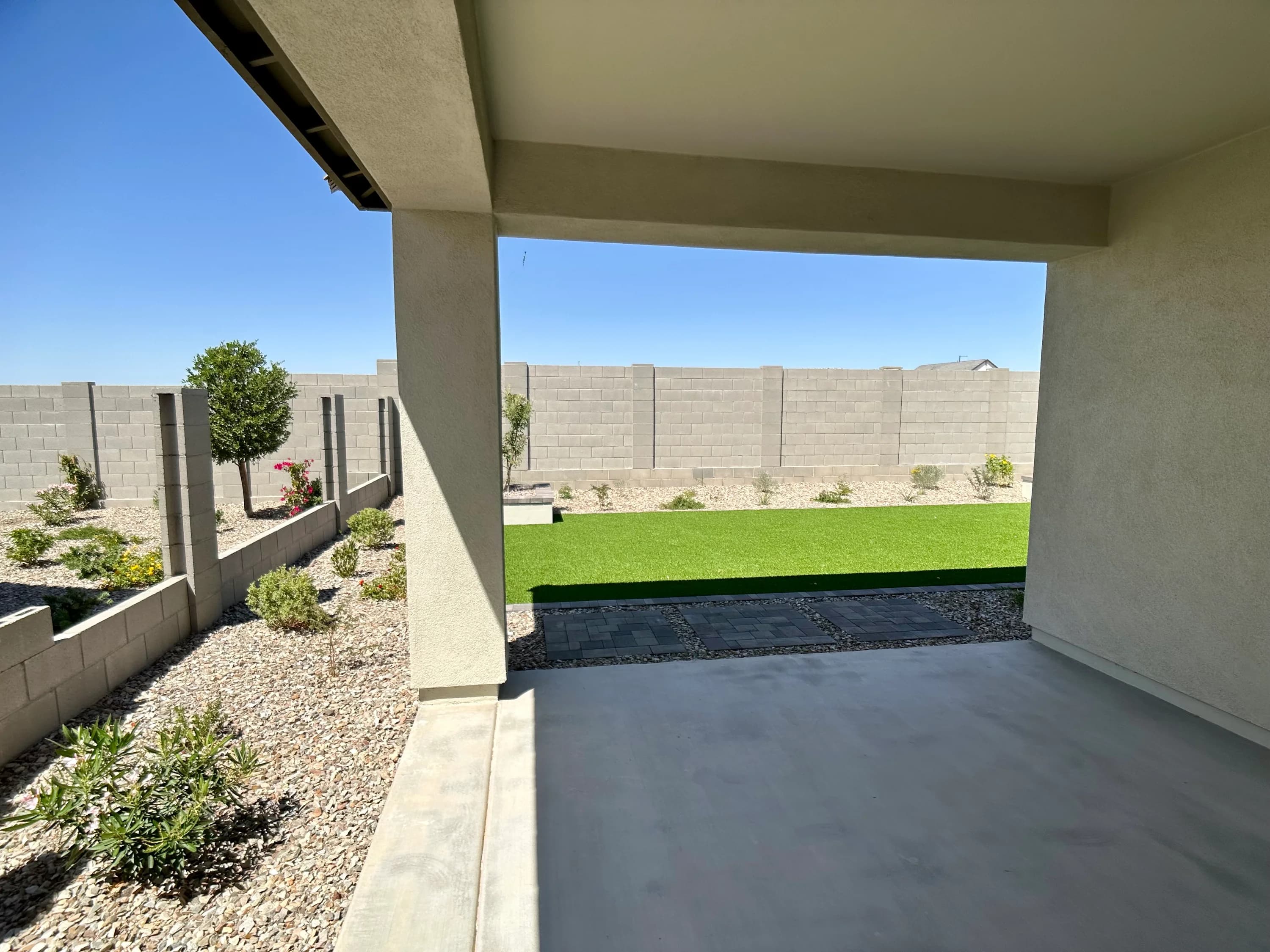 Ocotillo